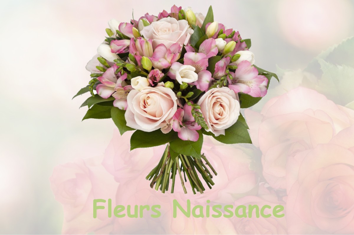 fleurs naissance PLENISE