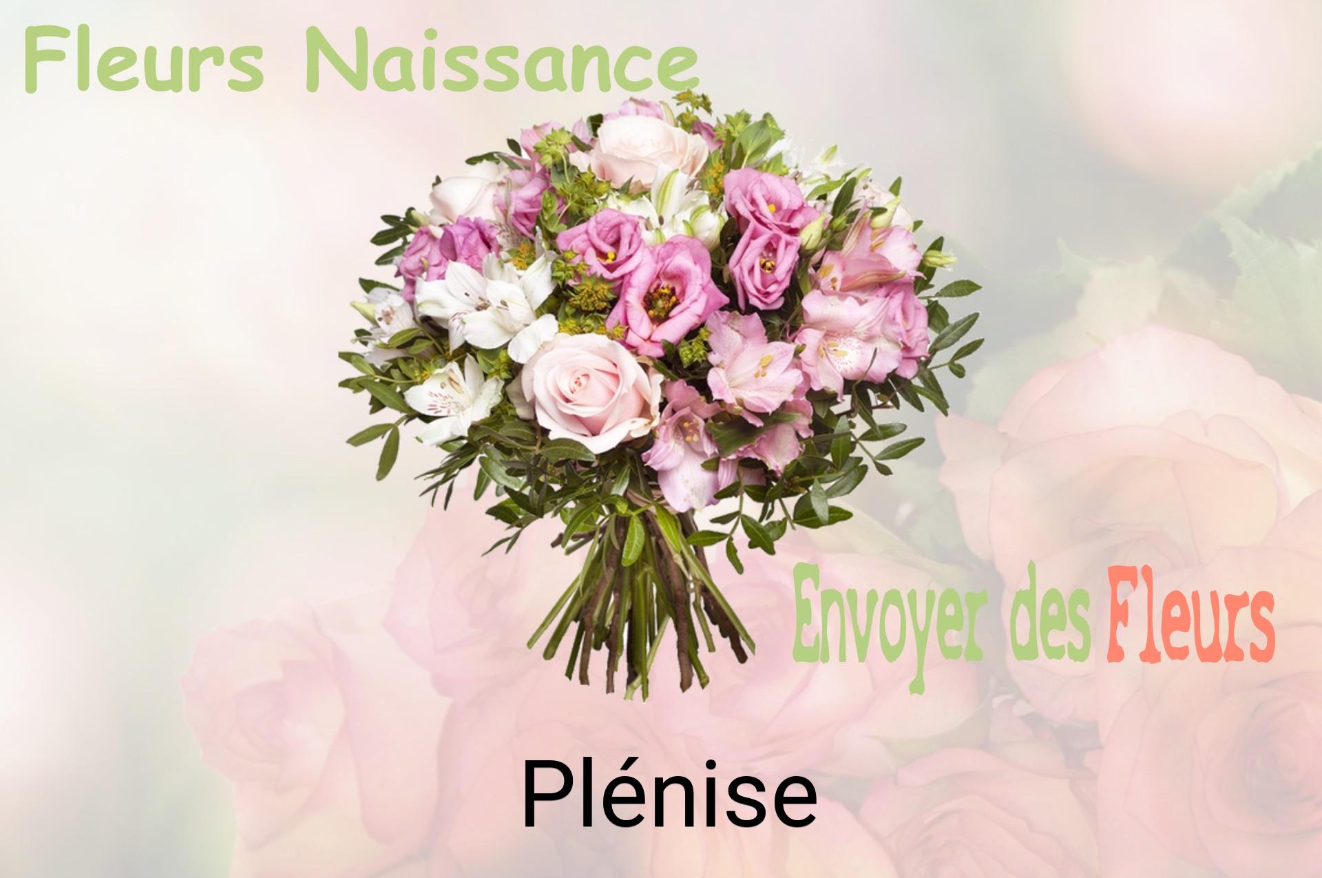 Bouquet de fleurs de naissance livré à Plénise