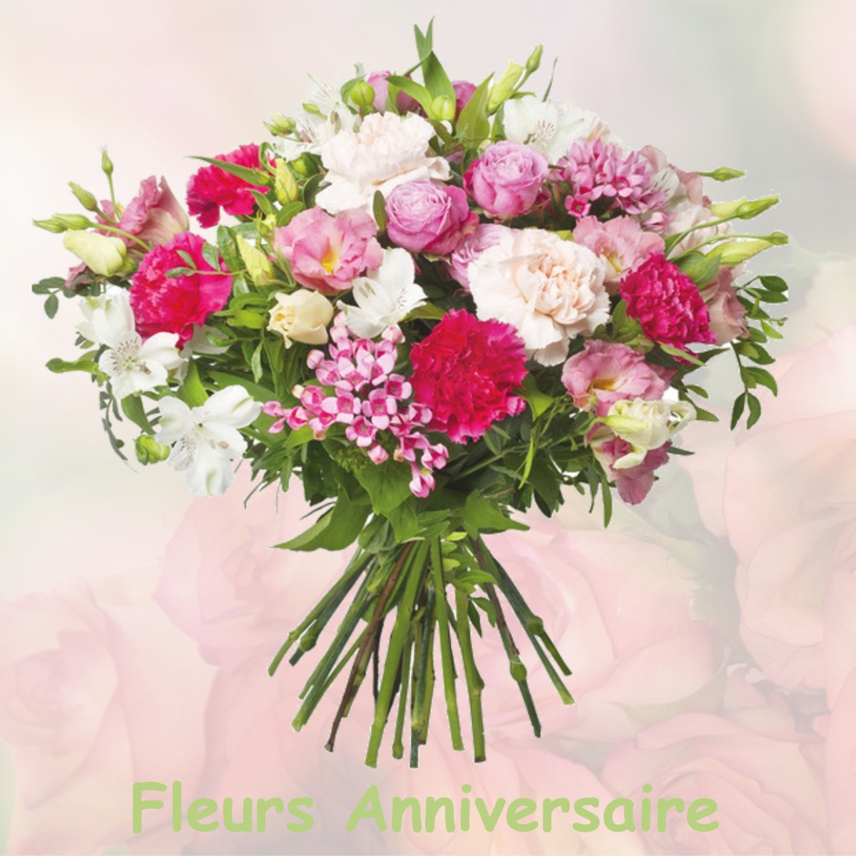 fleurs anniversaire PLENISE