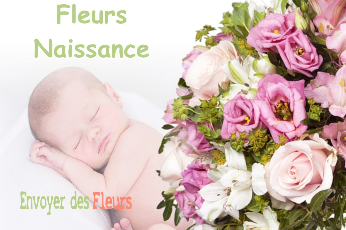 lIVRAISON FLEURS NAISSANCE à PLENISE