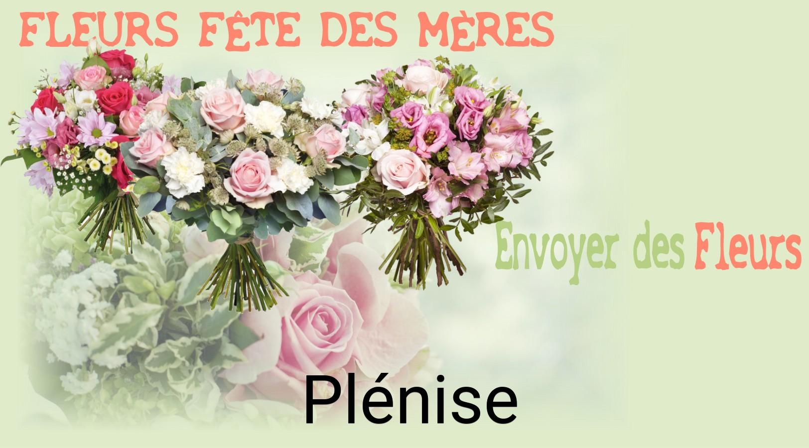 Bouquet de Fête des Mères livré à Plénise